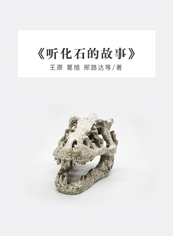 《听化石的故事》-封面.jpg